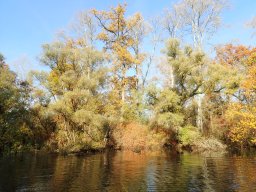 November 2025 - Wintersdorf